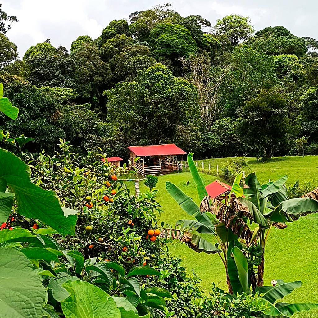 detur, alojamiento en cabañas, filandia, quindío, cabañas en guadua, turismo, descanzo, vacaciones