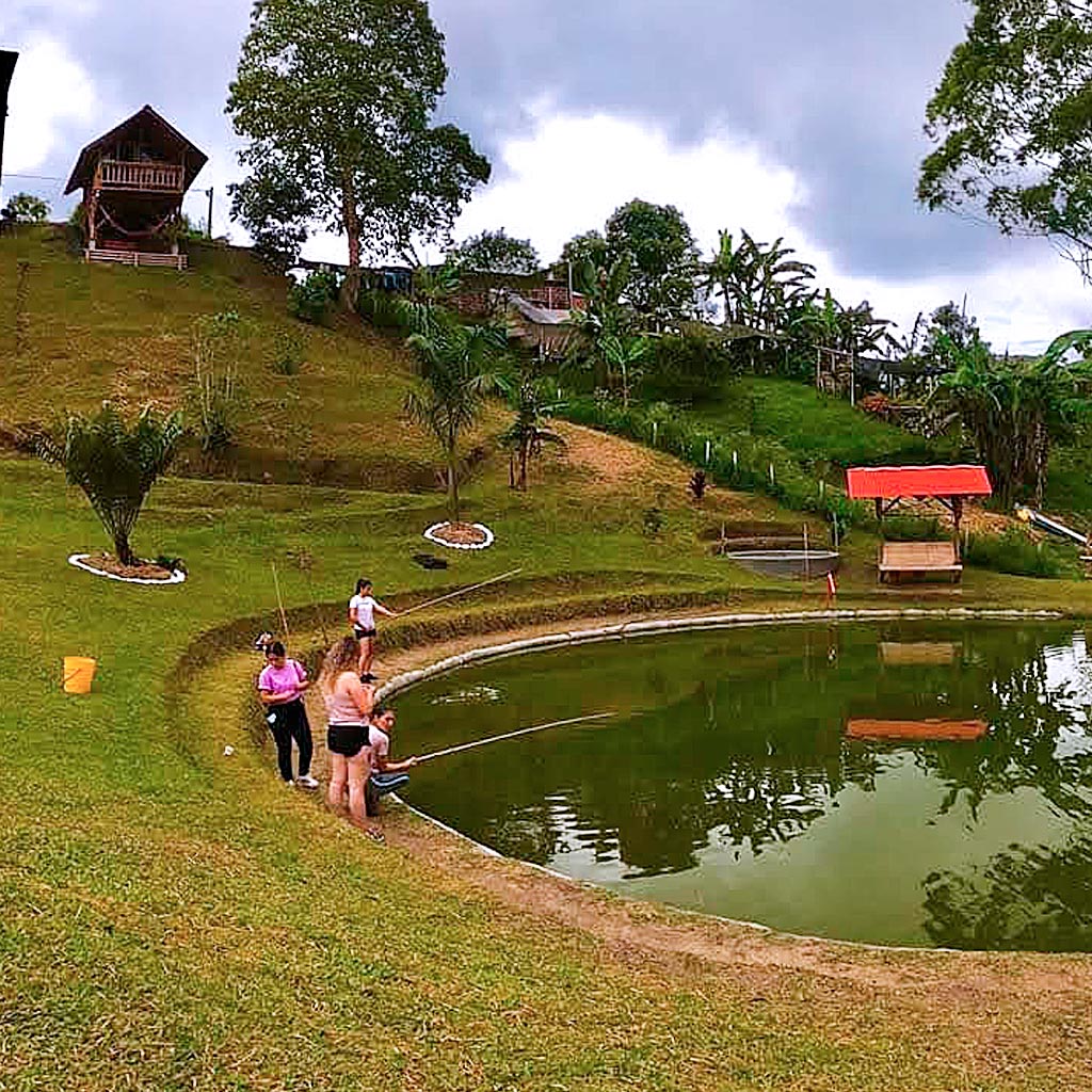 detur, alojamiento en cabañas, filandia, quindío, cabañas en guadua, turismo, descanzo, vacaciones