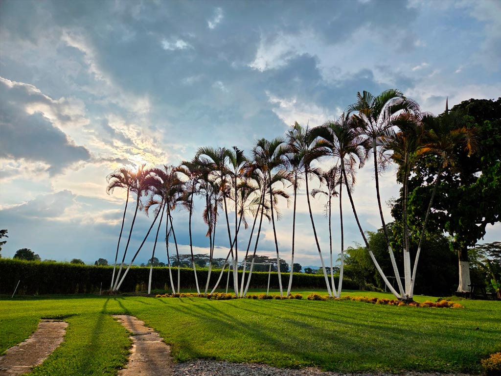 detur, de tur, detur fincas fincas en Armenia, fincas en alquiler Armenia, alquiler de fincas en Armenia, fincas turísticas en Armenia, finca vacacional Armenia, finca campestre Armenia, fincas en el eje cafetero