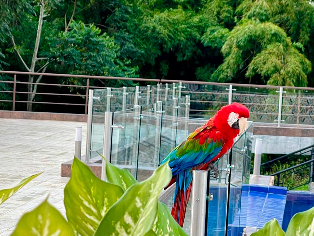 detur, de tur, detur fincas, fincas en Circasia, fincas en alquiler Circasia, alquiler de fincas en Circasia, fincas turísticas en Circasia, finca vacacional Circasia, casa campestre Circasia, fincas en el eje cafetero